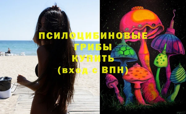 2c-b Слюдянка