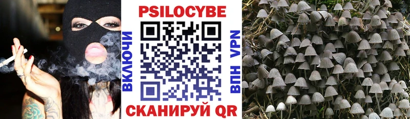 купить   Томилино  Галлюциногенные грибы GOLDEN TEACHER 